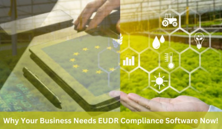 Why Your Business Needs EUDR Compliance Software Now!